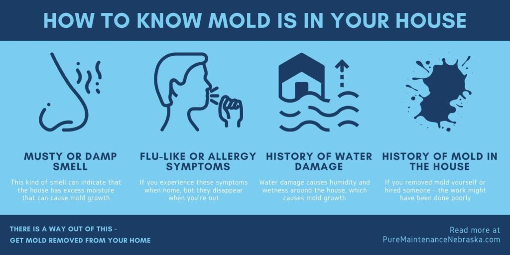 10 Warning Signs of Mold Toxicity: What You Need to Know