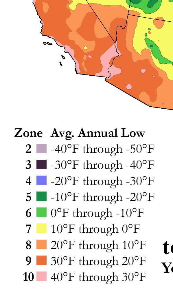 Understanding the Arizona Time Zone: Everything You Need to Know